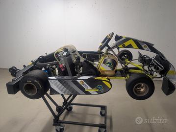 Telaio Pantano Con Motore Rotax Max Pre Evo