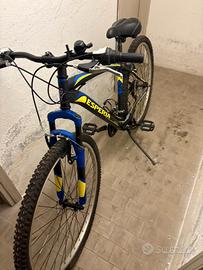 Bici MTB  Esperia 