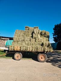 ballini erba medica e fieno 