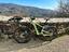 Immagine 3