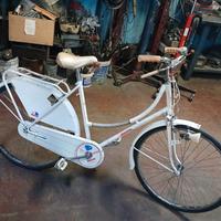 Americanino carnielli (paninari) 