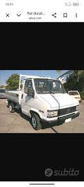 Fiat Ducato cassonato come nuovo