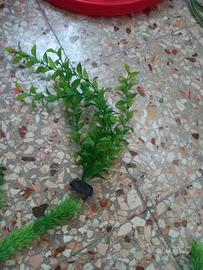 Piante finte acquario