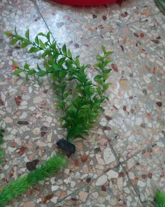 Piante finte acquario