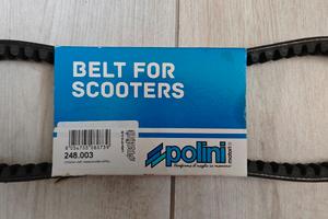 Cinghia Polini Scooter 50