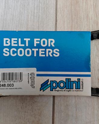 Cinghia Polini Scooter 50