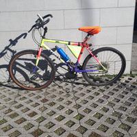 2 biciclette del tipo mountain bike usate
