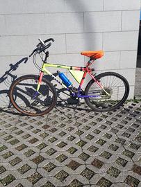 2 biciclette del tipo mountain bike usate