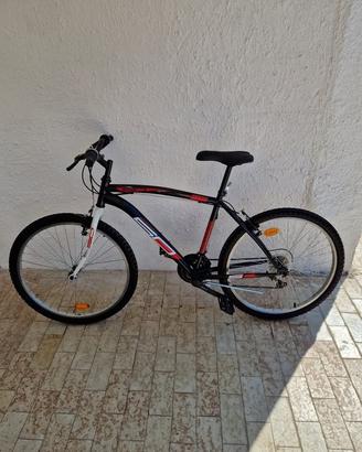 Mountain Bike - Taglia 26