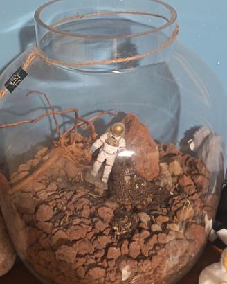 TERRARIO per piante grasse