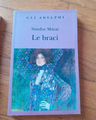 Libro le Braci