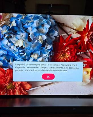 LG Oled 65 c7