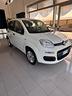 fiat-panda-1-2-bz-easy