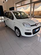 FIAT PANDA 1.2 BZ - EASY