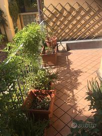 Bilocale con terrazzo
