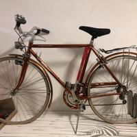 Wilier Triestina Uomo Telaio Numerato Velocromata