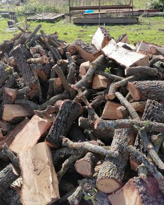 Legna da azienda leader nel settore