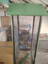 voliera per uccelli 