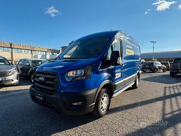 Ford Transit 290 tdci 105 PM TM (317)