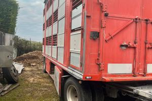 Rimorchio trasporto Bestiame