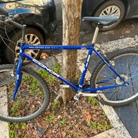 Bicicketta