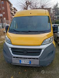 fiat ducato w