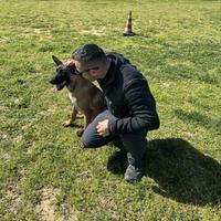 Addestratore Cinofilo Enci Teramo