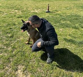 Addestratore Cinofilo Enci Teramo