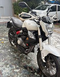 benelli 302cc