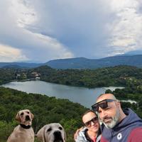 Pensione per cani