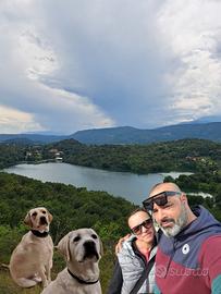 Pensione per cani
