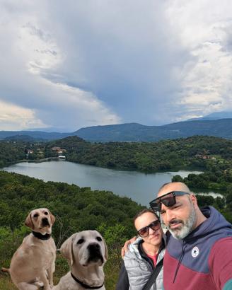 Pensione per cani