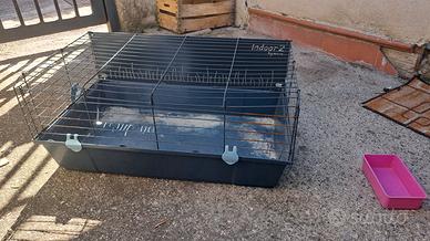 Vengo gabbia per conigli