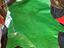 Immagine 6