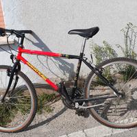 Mountain Bike  Ruota da 26