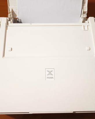 Stampante Canon PIXMA TS3151 errore P10 