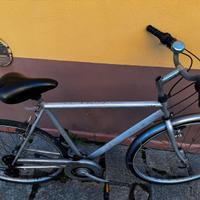 Bicicletta da citta