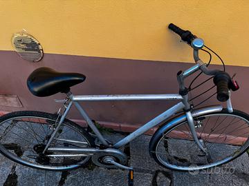 Bicicletta da citta