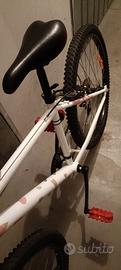 bicicletta mtb