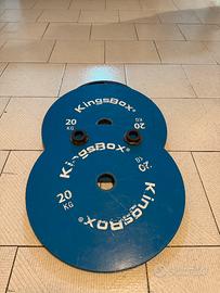 Dischi Kingsbox 20kg