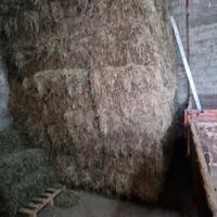 Fieno in ballette rettangolari