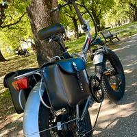 Bici Elettrica 250 Watt
