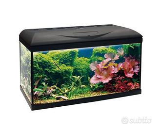 Acquario Amtra Basic 80 Led 85 litri