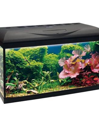 Acquario Amtra Basic 80 Led 85 litri