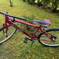 Mountain bike ragazzo da sistemare