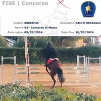 Cavalla Andalusa e passo spagnolo e passeggiate