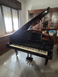 Pianoforte a coda