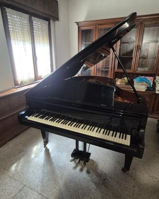 Pianoforte a coda