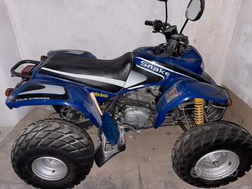 Quad Snak 125 con 100 KM