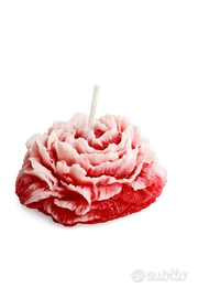 Candela poemia rossa e bianca